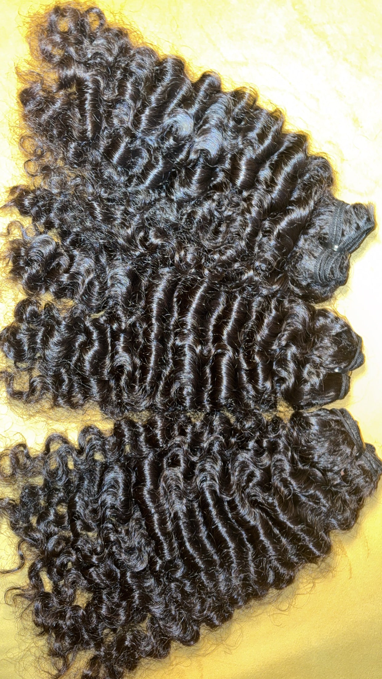 Personal Burmese curly vendor