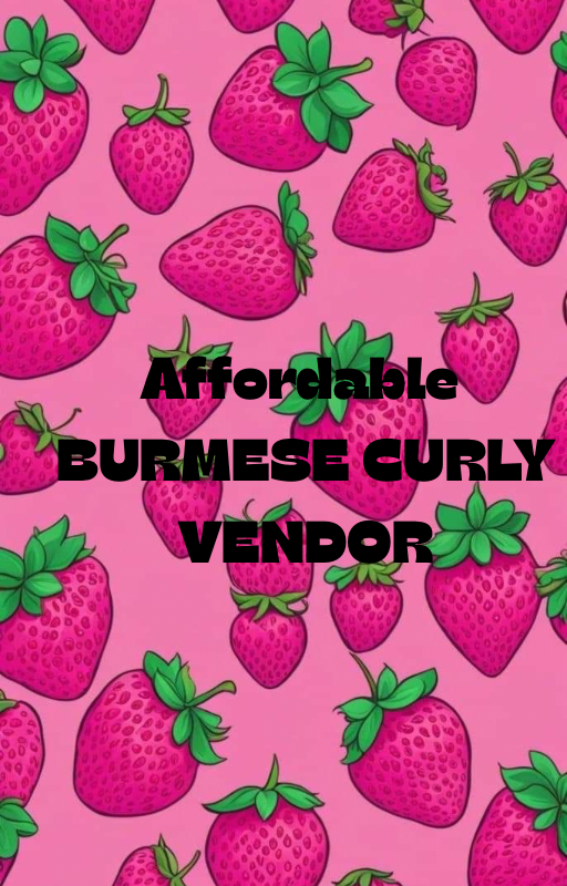 Affordable Burmese curly vendor